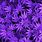 Purple Weed PFP