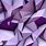 Purple and White PC Wallpaper