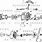 Quantum Dominator Schematic