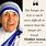 Quotes About Mother Teresa