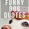 Quotes Funny 2020 Dog