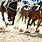 Race Track Horse Racing