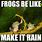 Rain Toad Memes