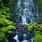 Rainforest Waterfall Wallpaper
