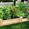 Raised Vegetable Garden Box
