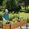 Raised Vegetable Garden Planter Box