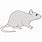 Rat Cartoon Drawing Easy