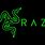 Razer Brand