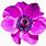 Real Flowers PNG Transparent