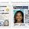 Real ID vs Driver License