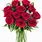 Red Rose Bouquet in Vase