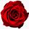 Red Rose Clear Background
