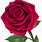 Red Rose Clip Art