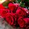 Red Roses Love