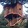 Redwood Forest Tree House