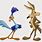Road Runner Cartoon Characters Coyote