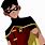 Robin From Young Justice