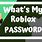Roblox Password Revealer