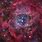 Rosette Nebula HD