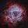 Rosette Nebula Hoo