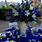 Royal Blue and Gold Wedding Reception