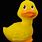Rubber Duckie Toy