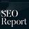 SEO Ranking Report