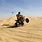 Sand Dune Riding