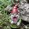 Scary Garden Gnome