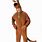 Scooby Costume
