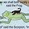 Scorpion Frog Meme