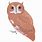 Screech Owl Cartoon