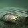 Second Baltic Sea Anomaly