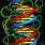 Segment of DNA