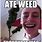 Send Weed Meme