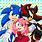 Shadow and Amy Rose Sonic X