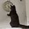 Shifting Eye Cat Clock GIF