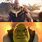 Shrek vs Thanos