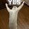 Silly Cat Saying Yes