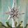 Silver Christmas Tree Topper