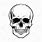 Skeleton Head Drawing