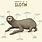 Sloth Diagram