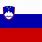 Slovenia Country Flag
