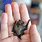 Small Cute Bat