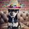 Small Dog Sombrero Hat