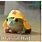 Small Frog Meme