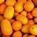Small Orange Colored Fruit