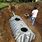 Small Septic Tank Systems