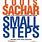 Small Steps Book