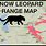 Snow Leopard Range Map